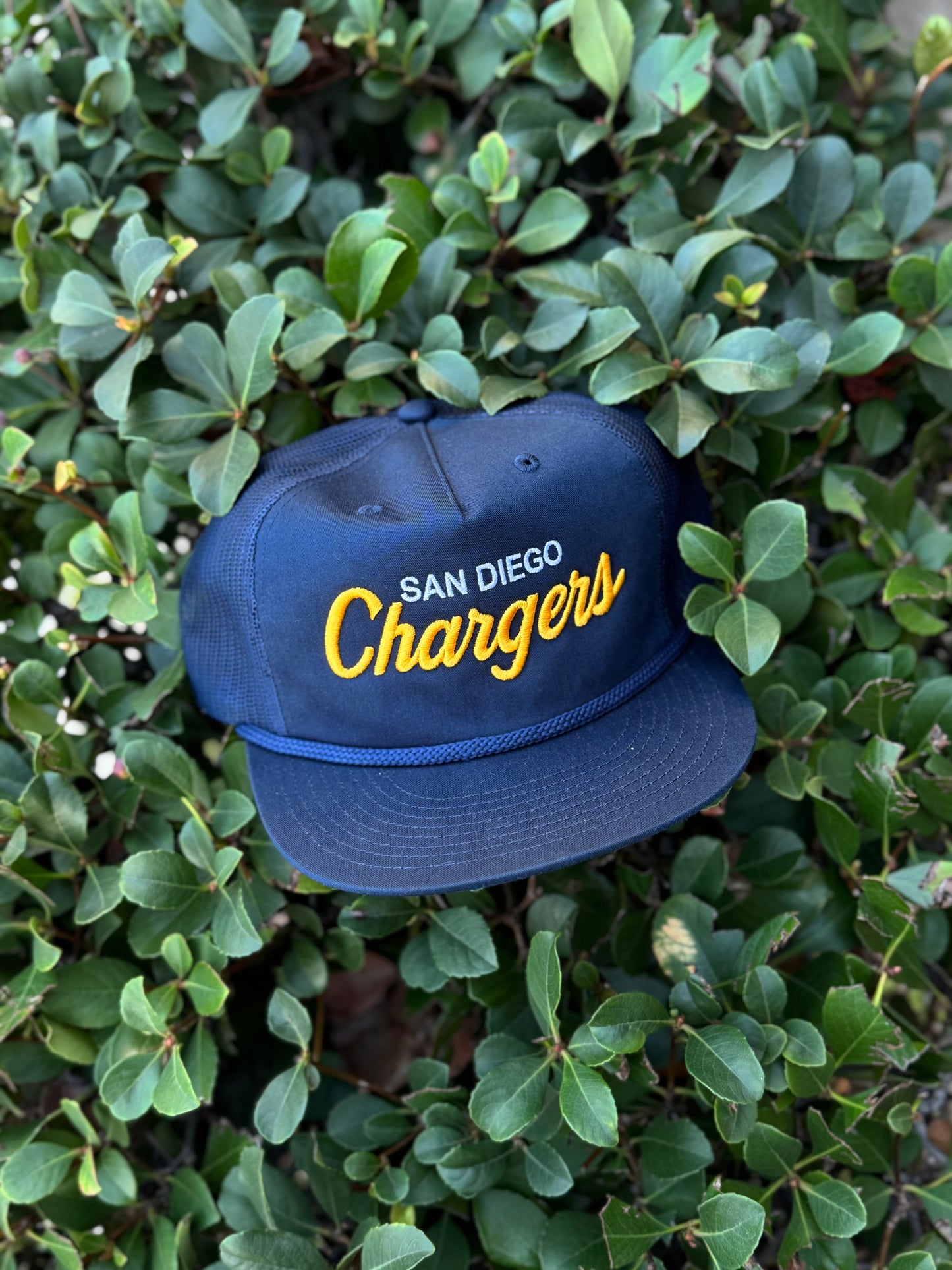 San Diego Bolts Snap Back