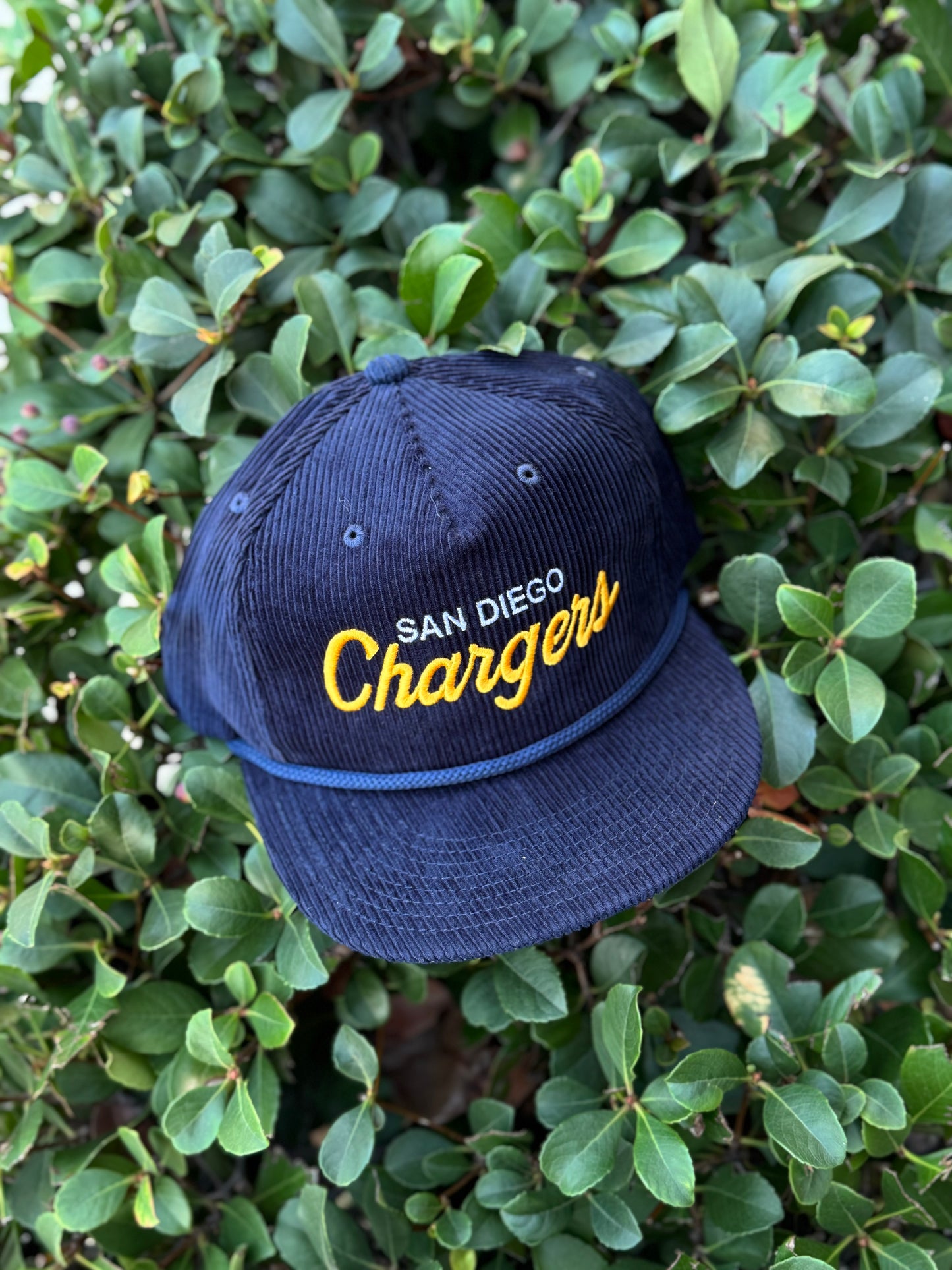 San Diego Bolts Snap Back