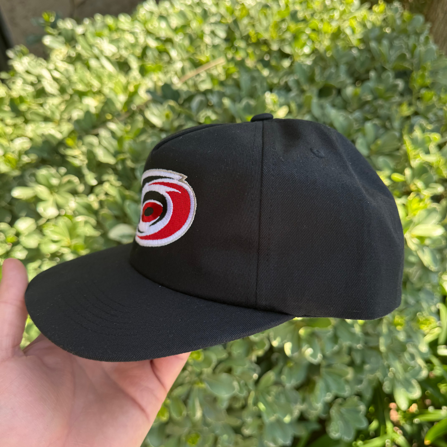 Canes Snap Back